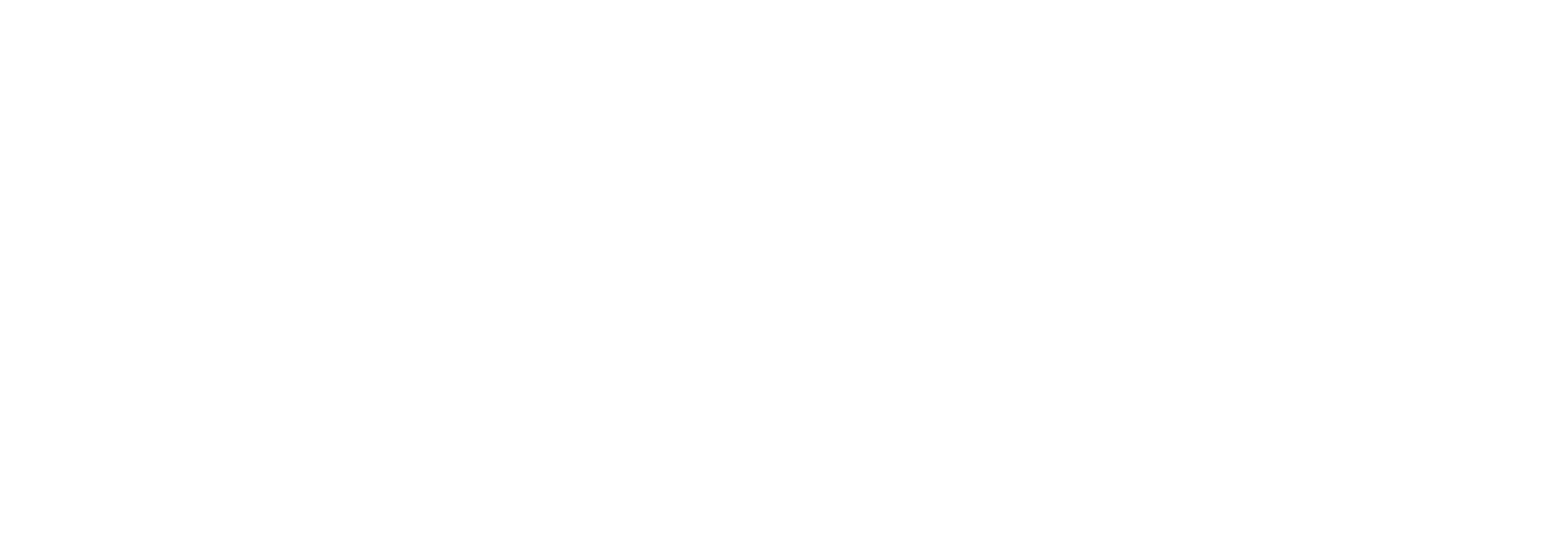Phantom Horizon